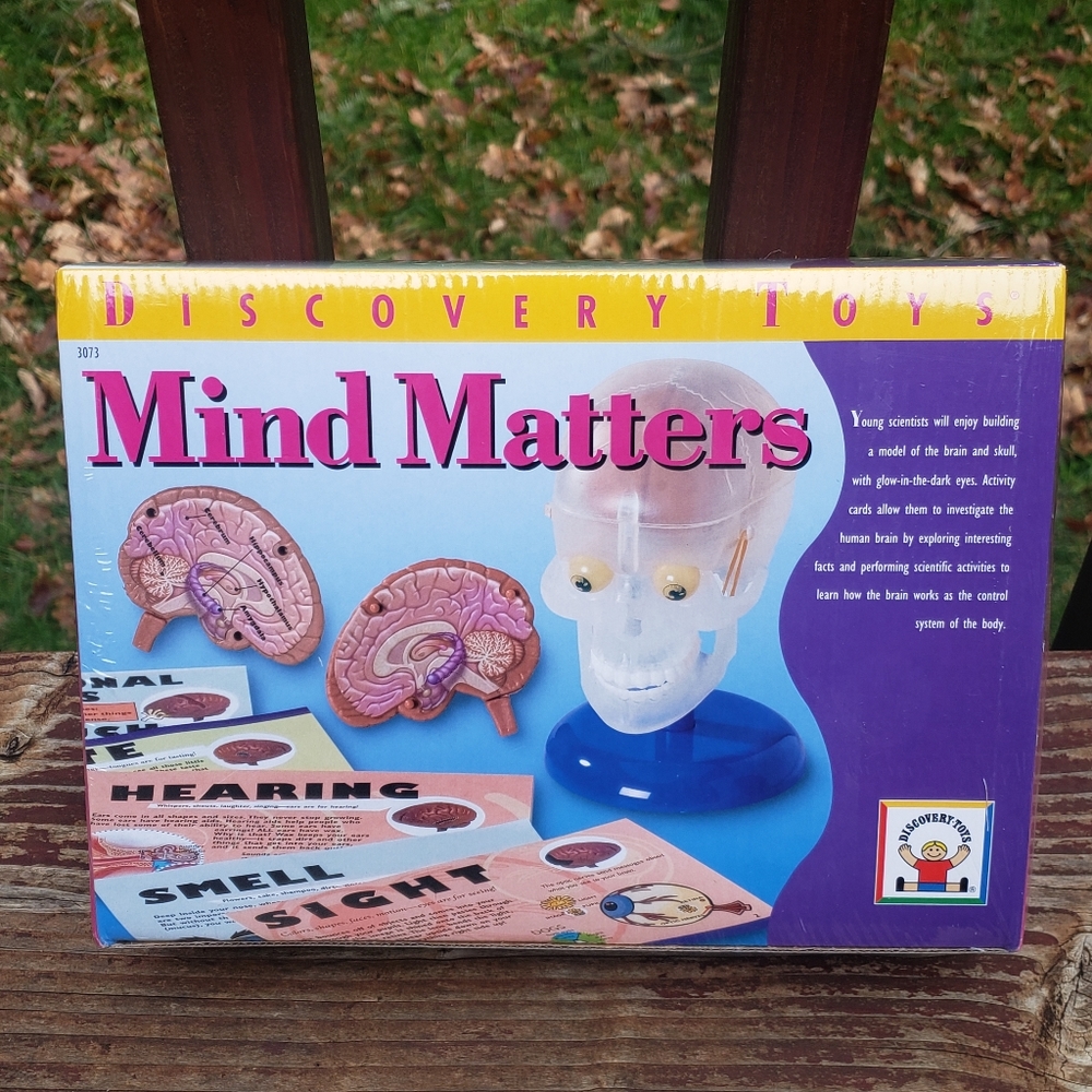 NEW Discovery Toys-  Mind Matters - Building Model Of The Brain & Skull STEM